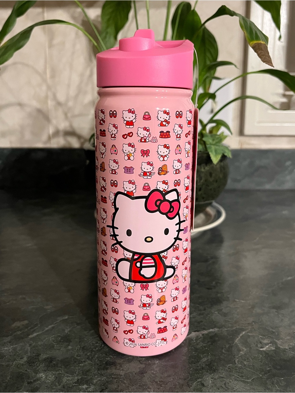 *NWT* Hello Kitty Stainless Steel Tumbler 20 oz